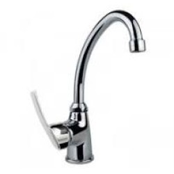 FIORE ALTURA 29 CR 4636 55,00 EURO